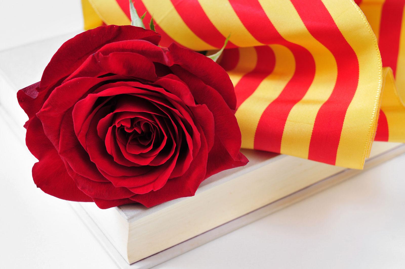 El dia de la rosa i el llibre El dia de la rosa i el llibre