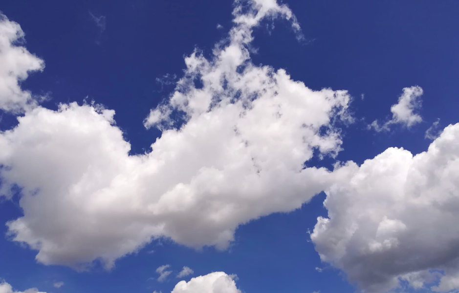 Ja ha arribat el mes de maig