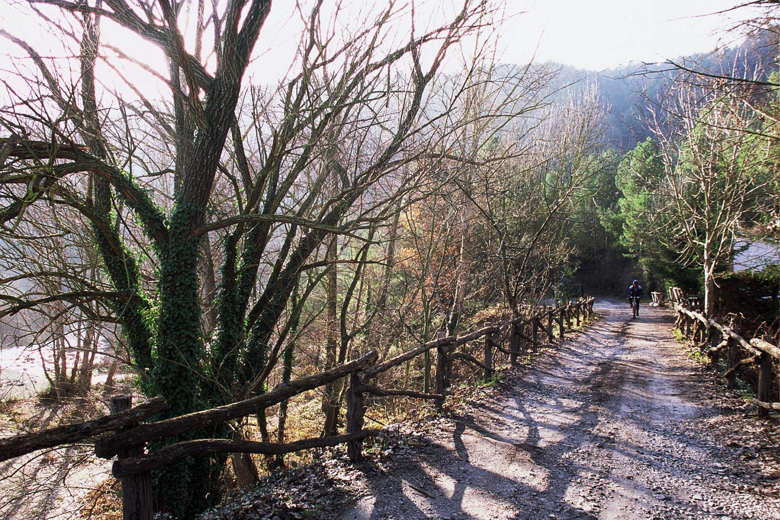 Camí del carrilet prop de Sant Quirze de Pedret. FOTO: Catalunya-Palau Robert