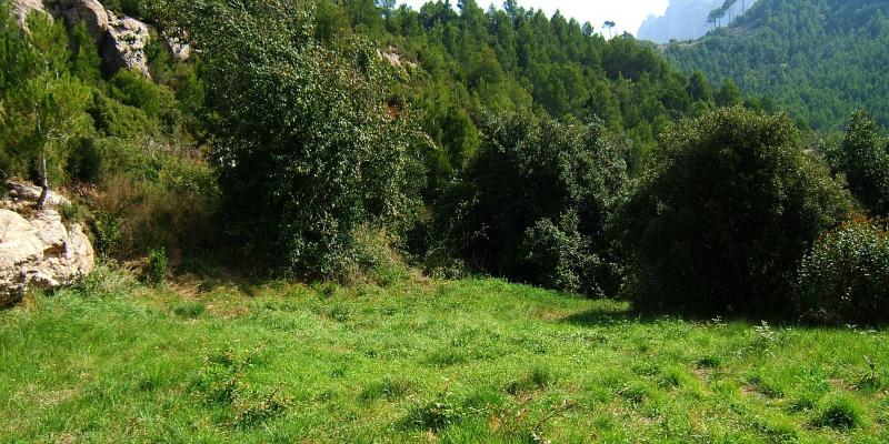 Coll de Can Massana. FOTO: Catalunya-Palau Robert Coll de Can Massana. FOTO: Catalunya-Palau Robert