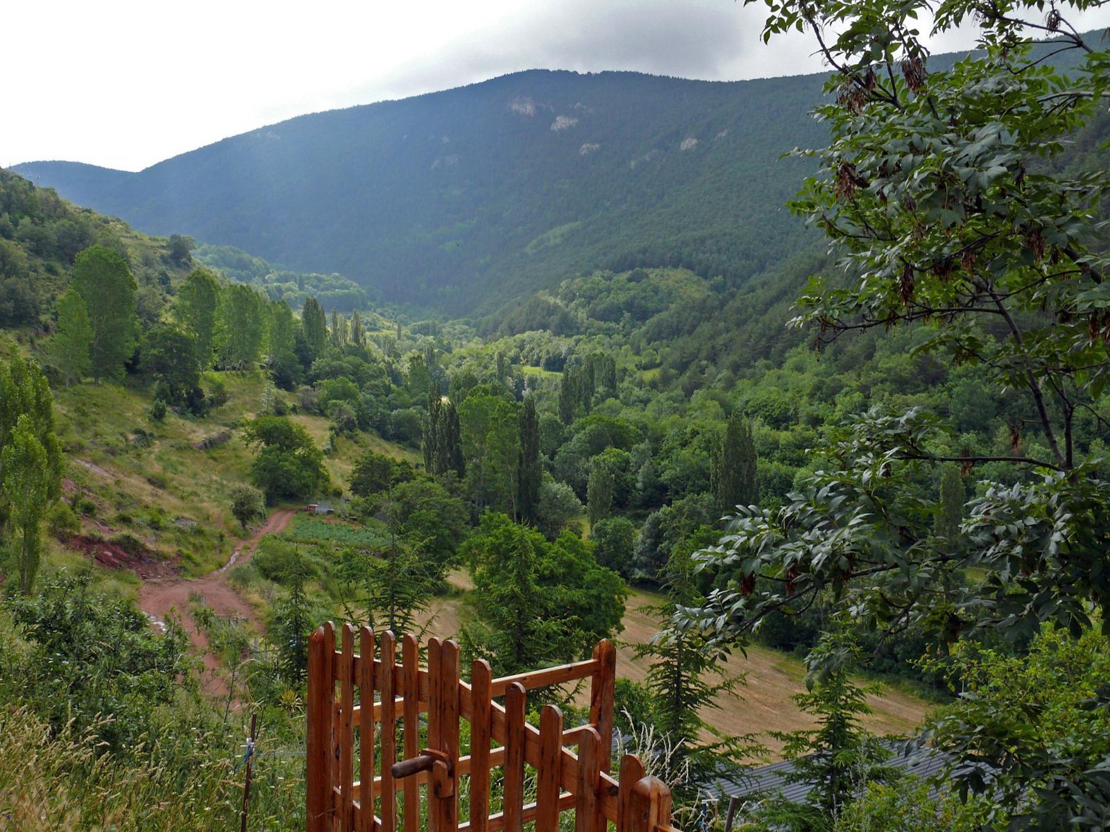 Obaga de Llagunes. FOTO: Cataluña-Palau Robert