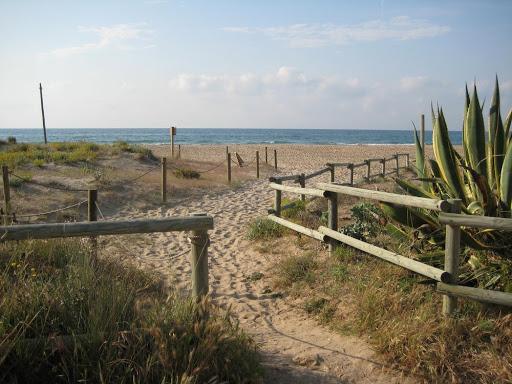 Platja dels Muntanyans Platja dels Muntanyans