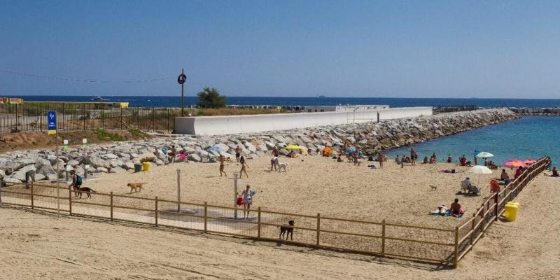 Platja per a gossos a Barcelona