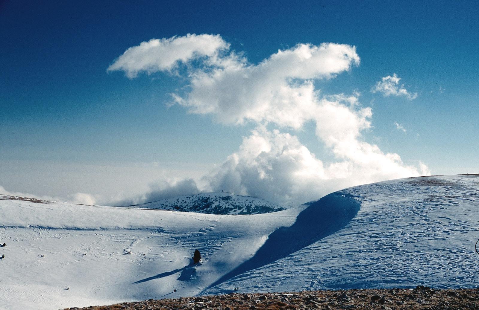 La Tossa Pelada y Pedró de los Cuatro Alcaldes al fondo. FOTO: Cataluña-Palau Robert La Tossa Pelada y Pedró de los Cuatro Alcaldes al fondo. FOTO: Cataluña-Palau Robert