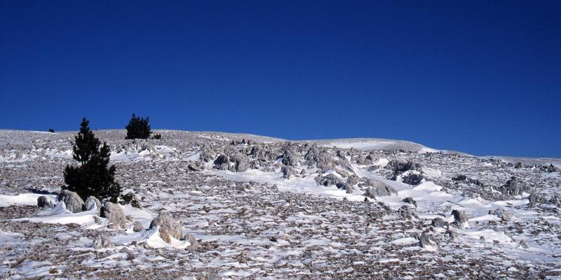 La Tossa Pelada carenejant cap al Pedró dels Quatre Batlles. FOTO: Catalunya-Palau Robert