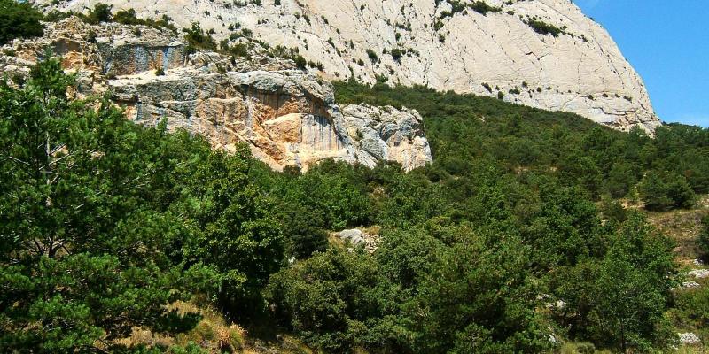 Serra de Carrpanima. FOTO: Catalunya-Palau Robert Serra de Carrpanima. FOTO: Catalunya-Palau Robert