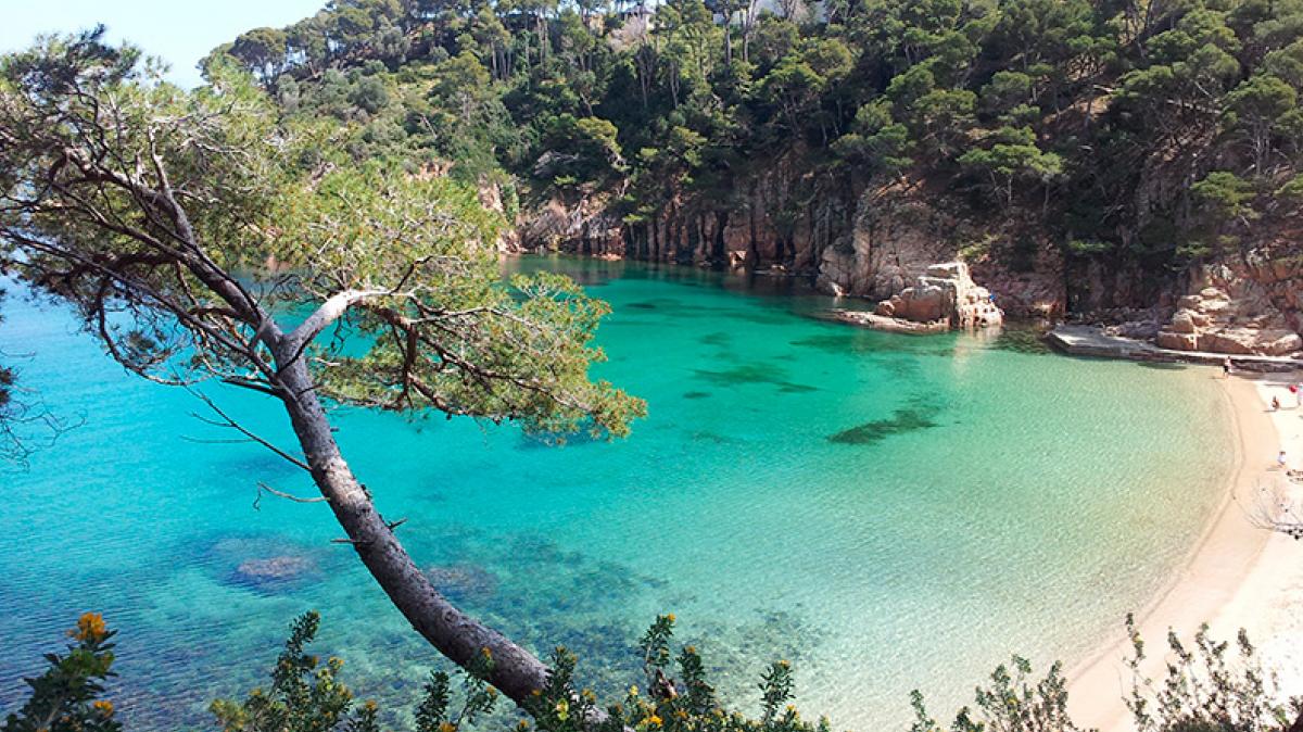 En la playa, hay que tener cura para evitar sustos