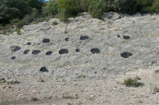 Yacimiento de huevos de dinosaurio de Suterranya