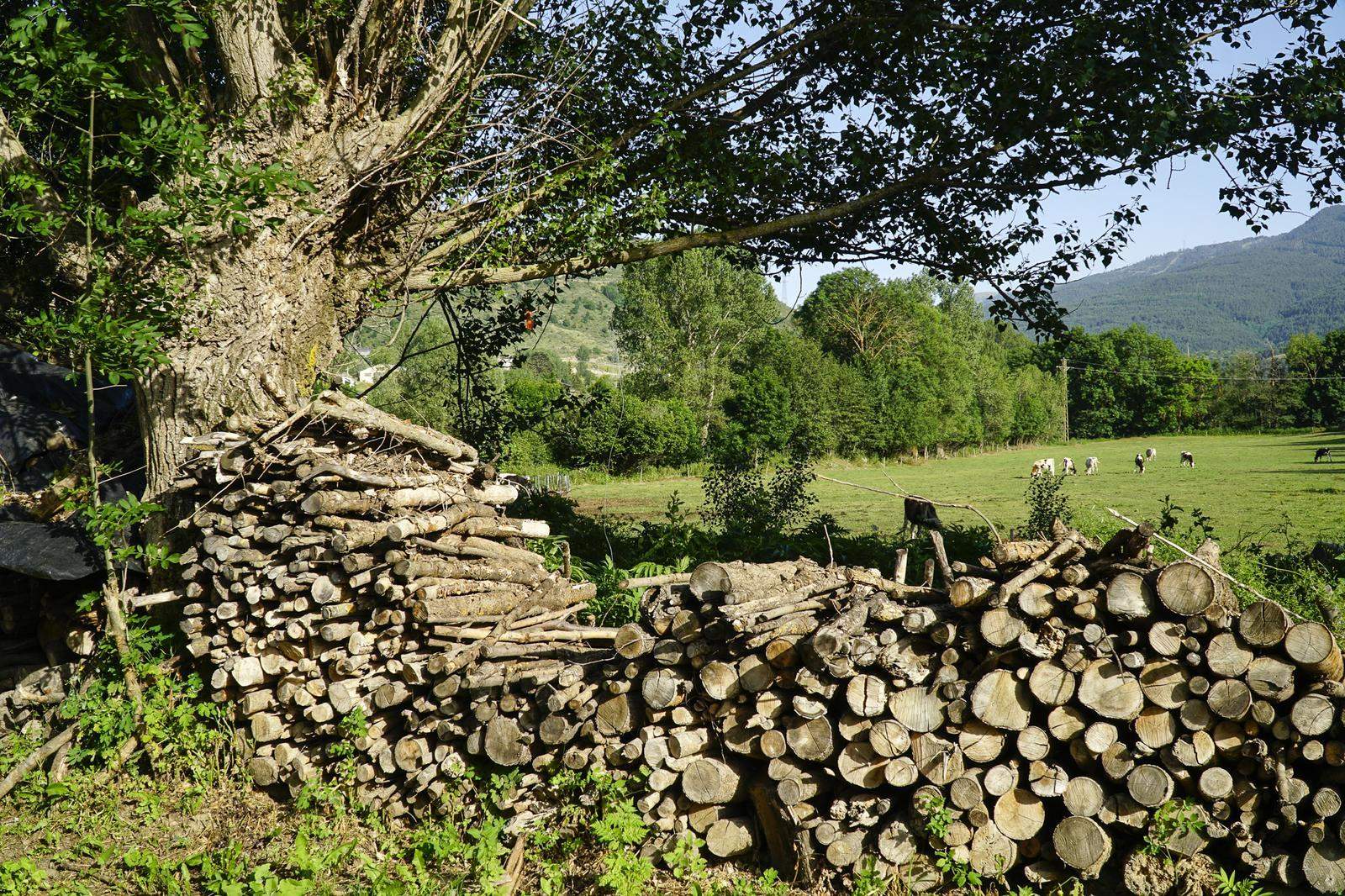 Fontanals de Cerdanya. FOTO: Catalunya-Palau Robert