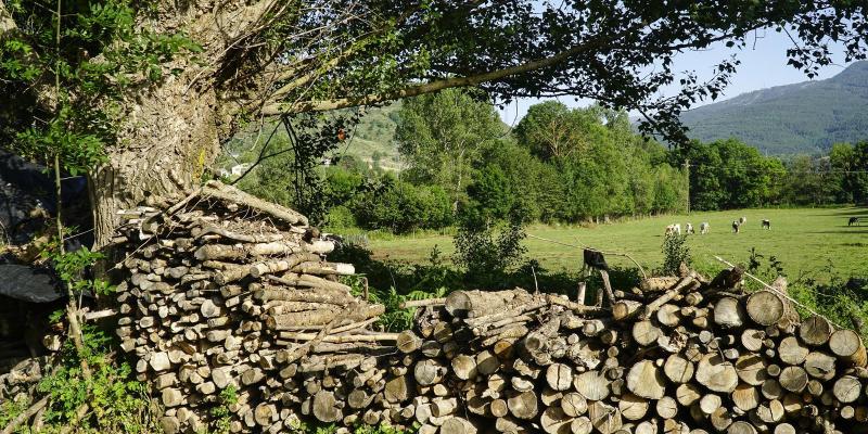 Fontanals de Cerdanya. FOTO: Catalunya-Palau Robert