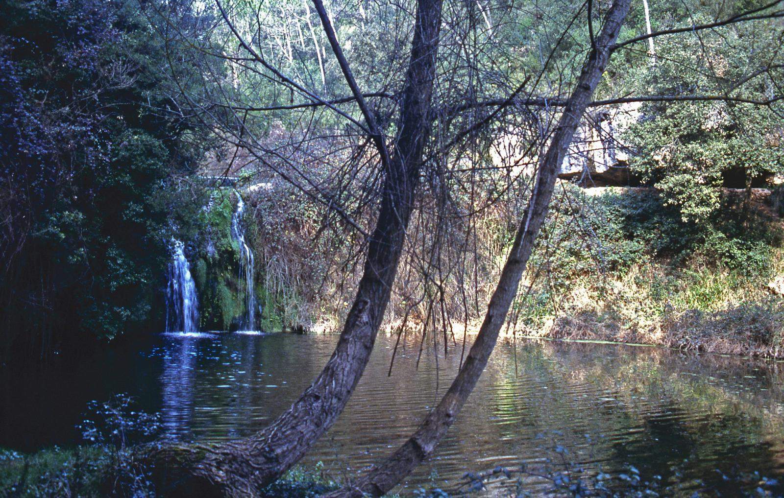 Gorg del Sot d'en Vila. FOTO: Catalunya-Palau Robert