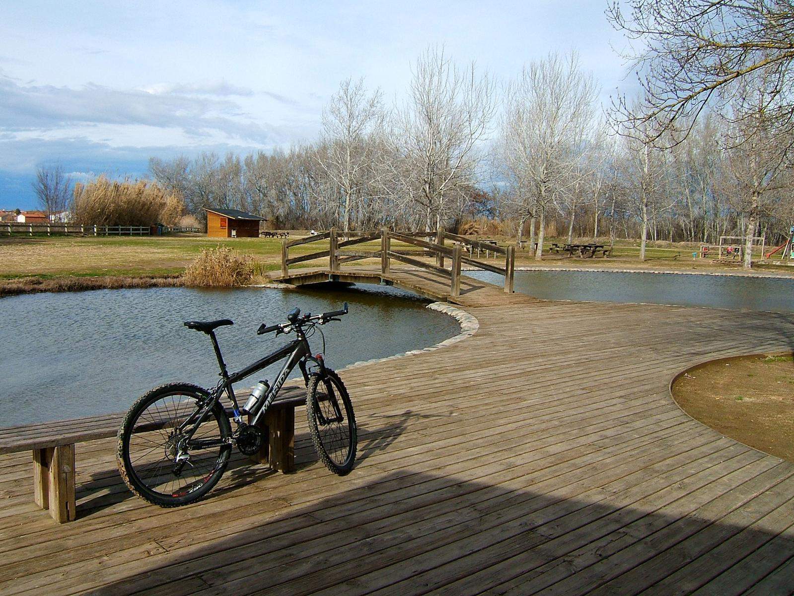 Parc de la Mitjana a Lleida. FOTO: Catalunya-Palau Robert Parc de la Mitjana a Lleida. FOTO: Catalunya-Palau Robert