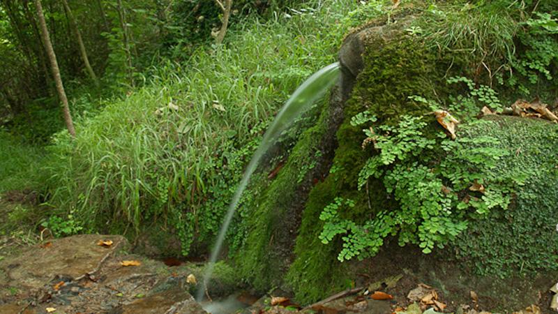 Una de les fonts de la Vall d'Amer