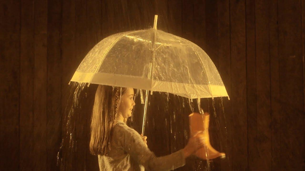 Imatge del videoclip La tardor que jo conec