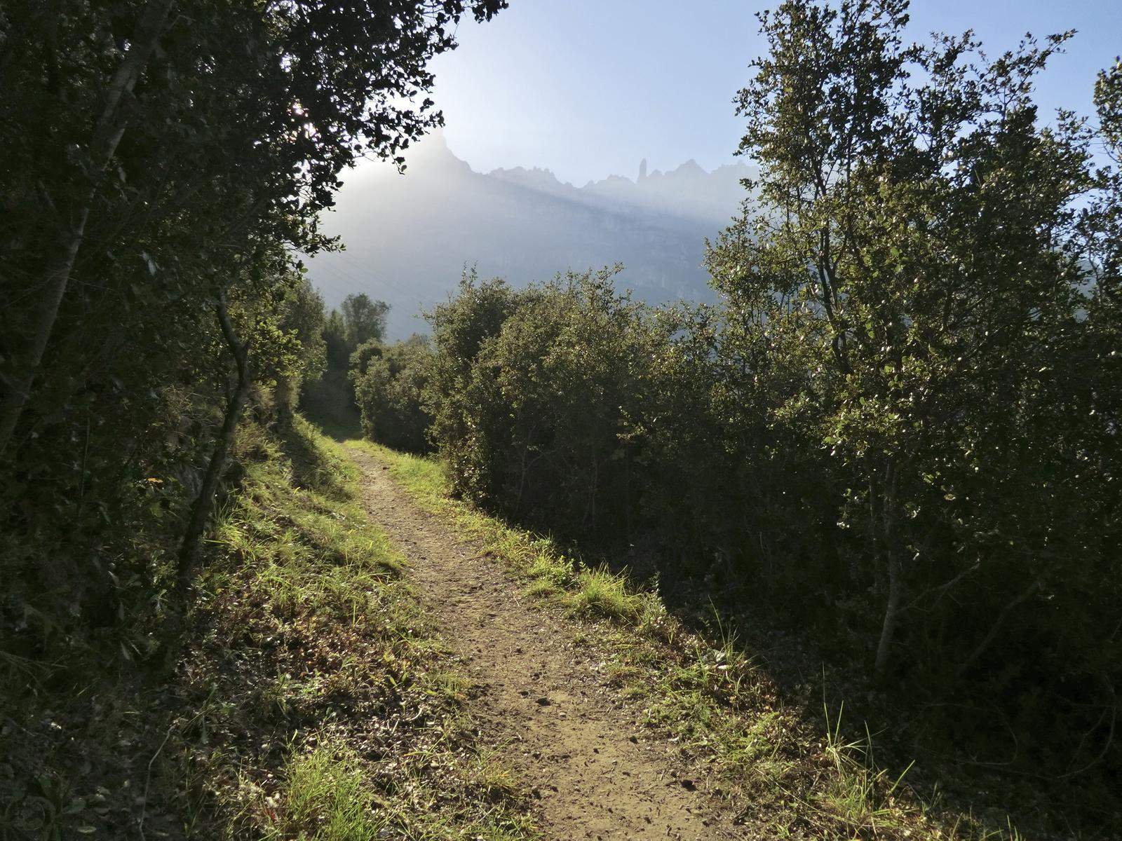 Camí de Santo Antolí. FOTO: Cataluña-Palau Robert
