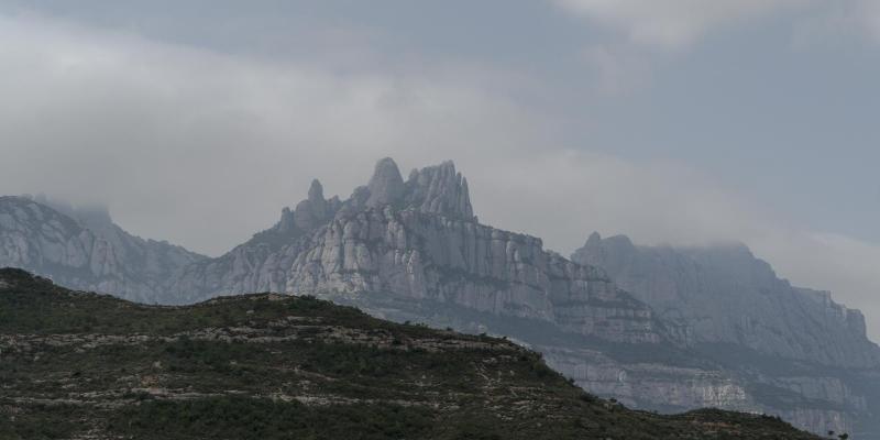 Serrat de l'Hospici. FOTO: Catalunya-Palau Robert Serrat de l'Hospici. FOTO: Catalunya-Palau Robert