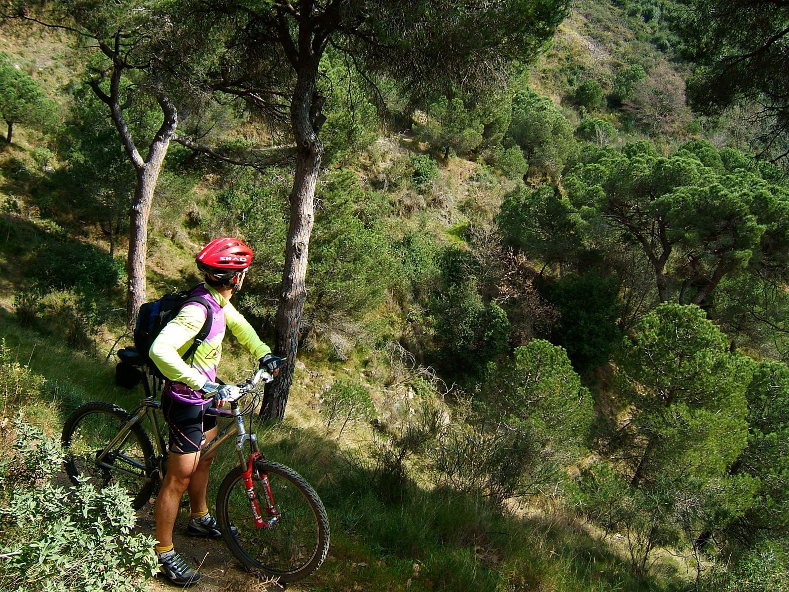 Entornos de la Salud. FOTO: Cataluña-Palau Robert