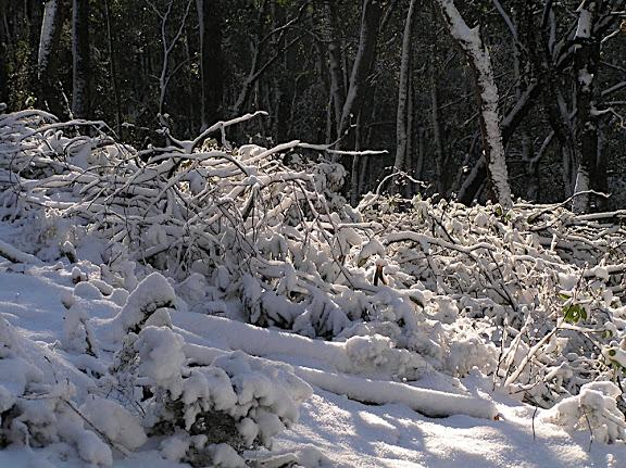 El frío és el protagonista del mes de enero