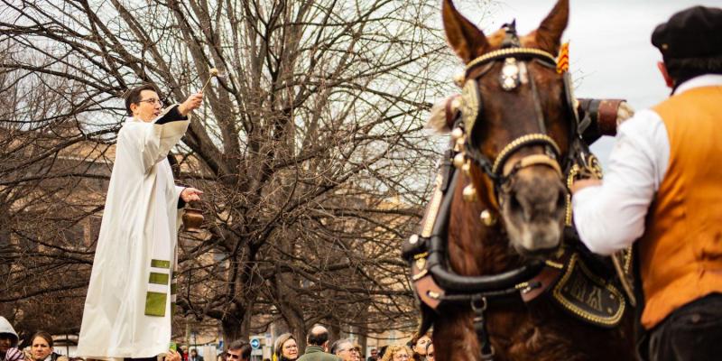 Per sant Antoni es beneixen els animals. FOTO: TOT Sant Cugat