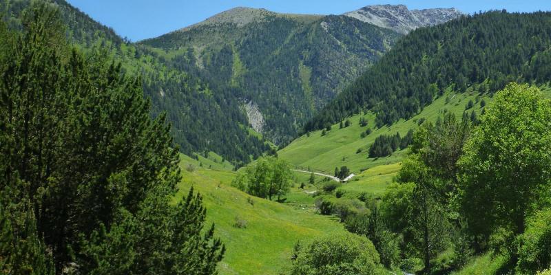 Parc Natural de l'Alt Pirineu Parc Natural de l'Alt Pirineu