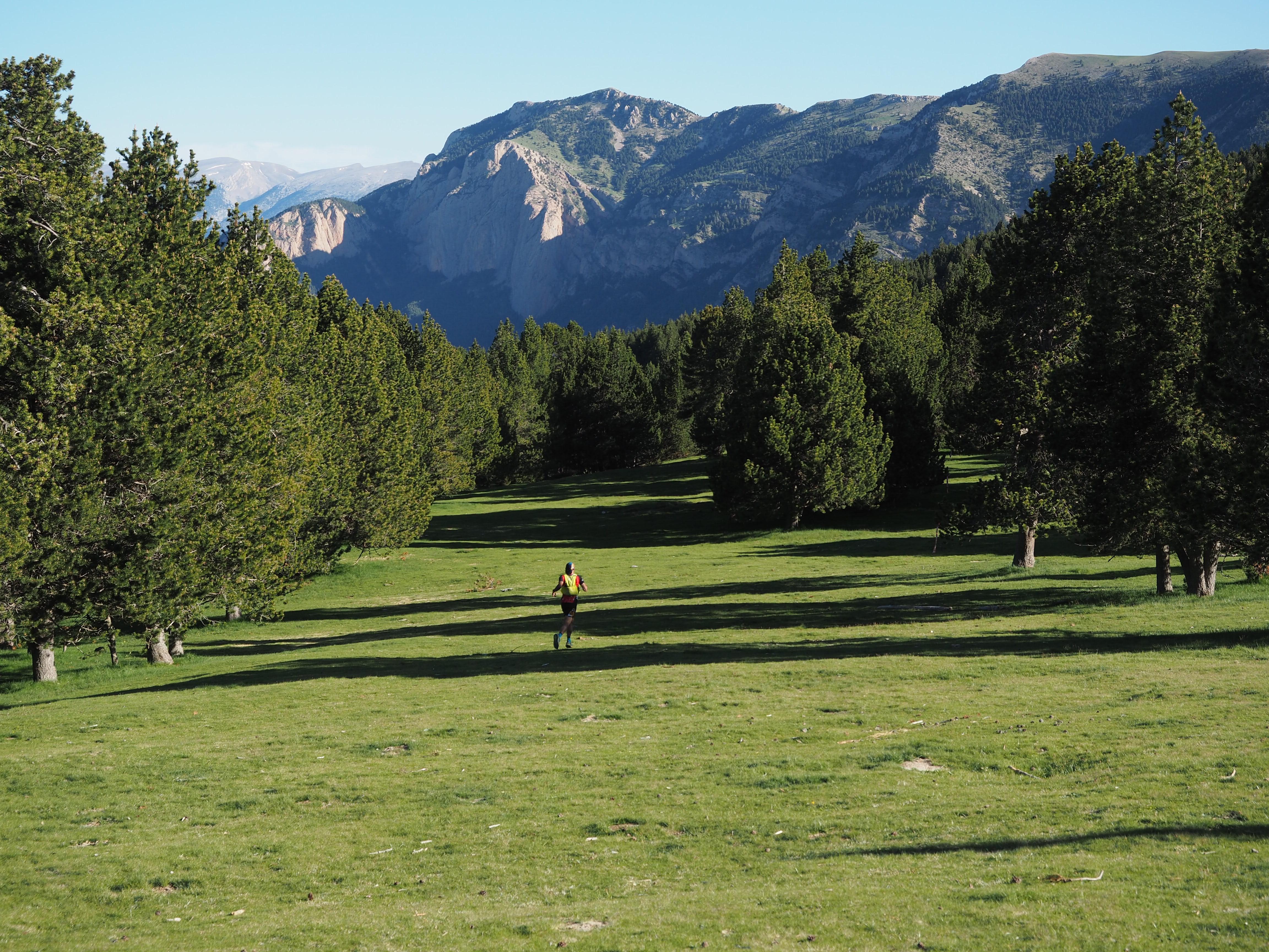 Un corredor de la Berga Trail als Rasos de Peguera camí d'Ensija. FOTO: Anna E. Puig