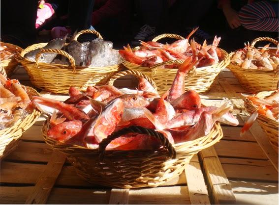 Campanya Gastronòmica del Peix de Roca a Begur