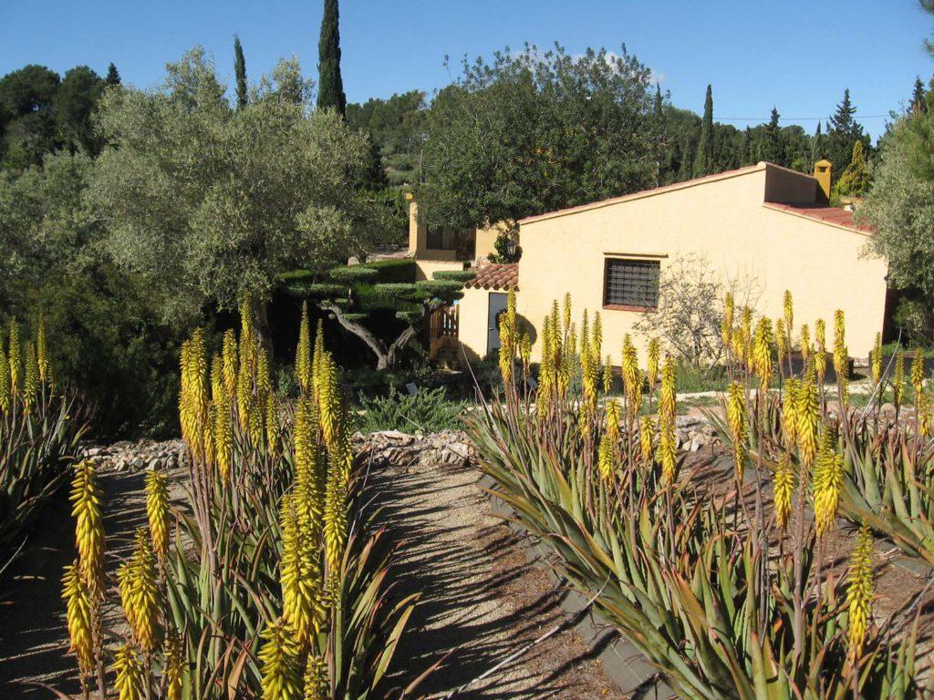 Jardí Botànic Medicinal Ecoherbes Park Jardí Botànic Medicinal Ecoherbes Park