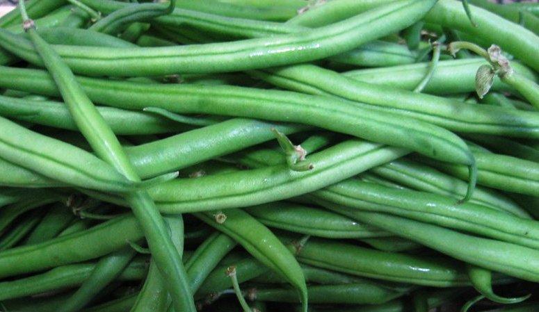 La judía tierna és un producto de primavera