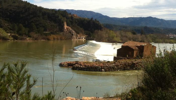 L'Assut de Xerta és un dels grans atractius del municipi L'Assut de Xerta és un dels grans atractius del municipi