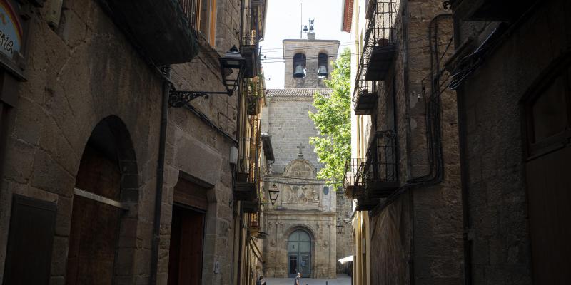 Una de les façanes de la catedral de Solsona. FOTO: Anna E. Puig