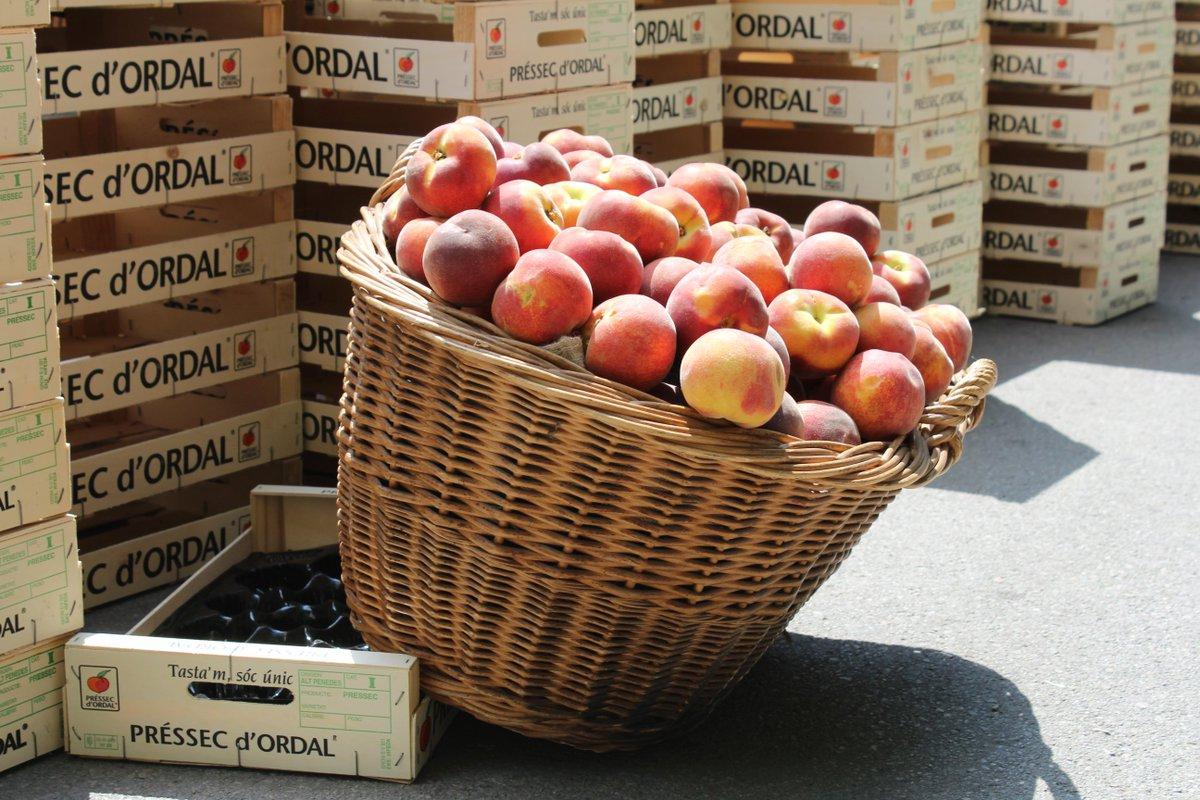 Préssecs d’Ordal al mercat