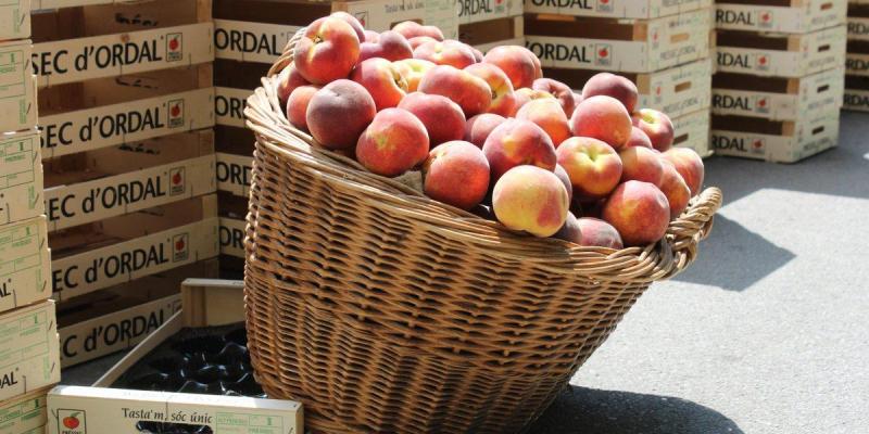 Mercat del Préssec d'Ordal Mercat del Préssec d'Ordal