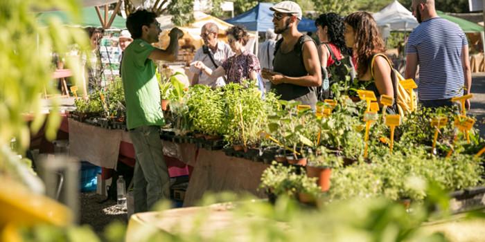 Remeiart a Santa Margarida i els Monjos en una edició anterior