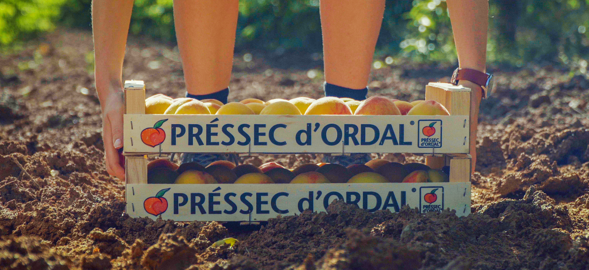 Mercat del Préssec d'Ordal