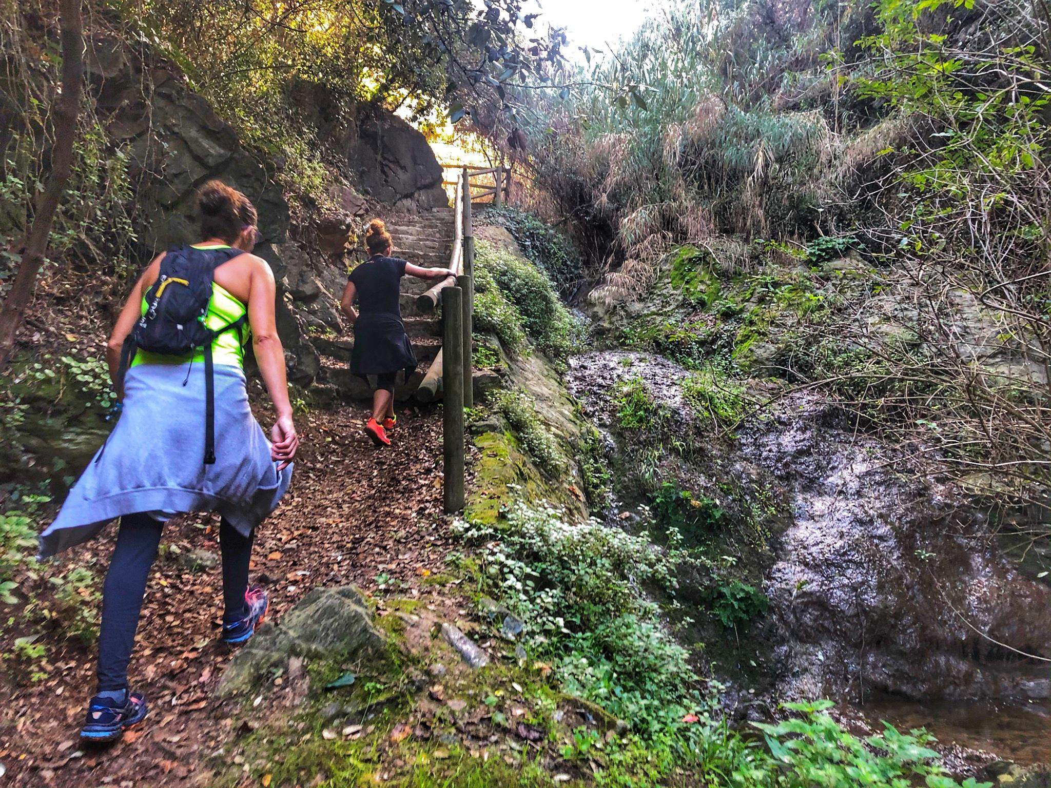 La vegetació de ribera és present en bona part del Camí de l'Aigua de Begur. Font: Sandra Bisbe