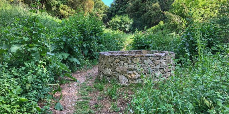 El camí conserva elements de la cultura de l'aigua com aquest pou que formen un conjunt d'un altíssim valor patrimonial. Font: Sandra Bisbe El camí conserva elements de la cultura de l'aigua com aquest pou que formen un conjunt d'un altíssim valor patrimonial. Font: Sandra Bisbe