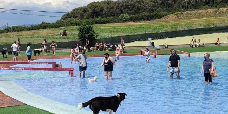 Aqua Park Canino. FONT: Facebook de Perros al agua/ Aquapark Canino Aqua Park Canino. FONT: Facebook de Perros al agua/ Aquapark Canino