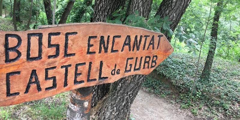 El bosc encantat El bosc encantat