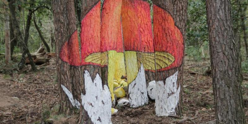 El Bosc Pintat de Poblet El Bosc Pintat de Poblet