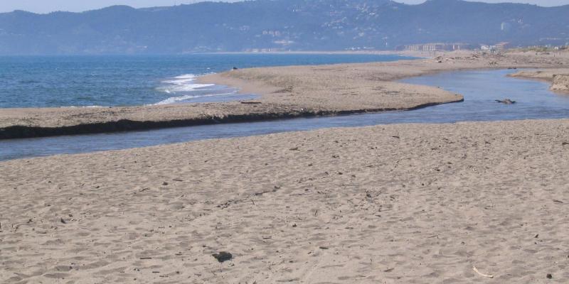 Platja de la Gola de Ter