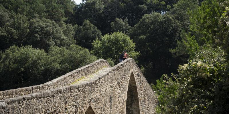 Pont de Pedret. FOTO: Anna E. Puig