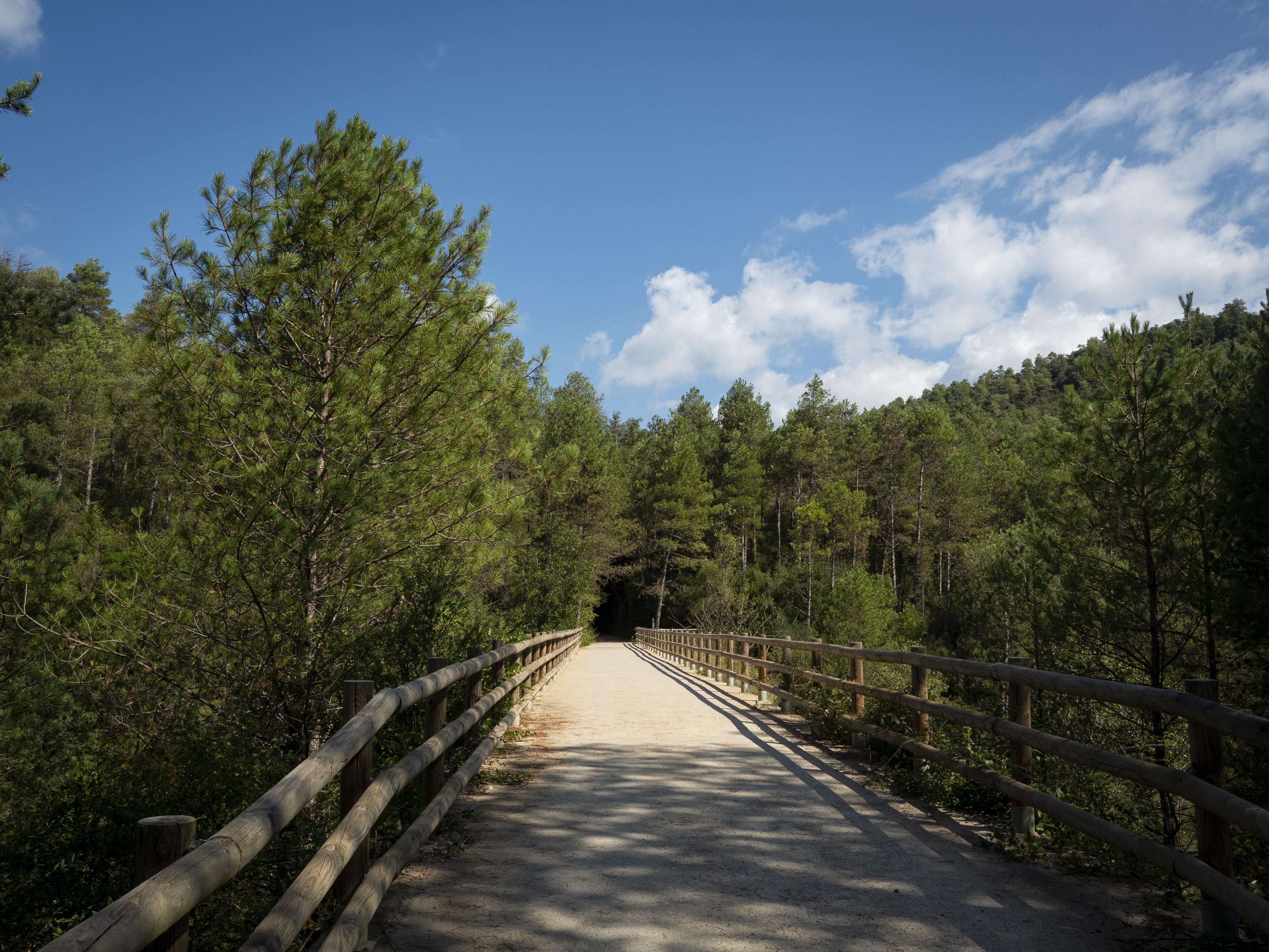 Pont a la Via Verda de Cal Rosal a Pedret. FOTO: Anna E. Puig