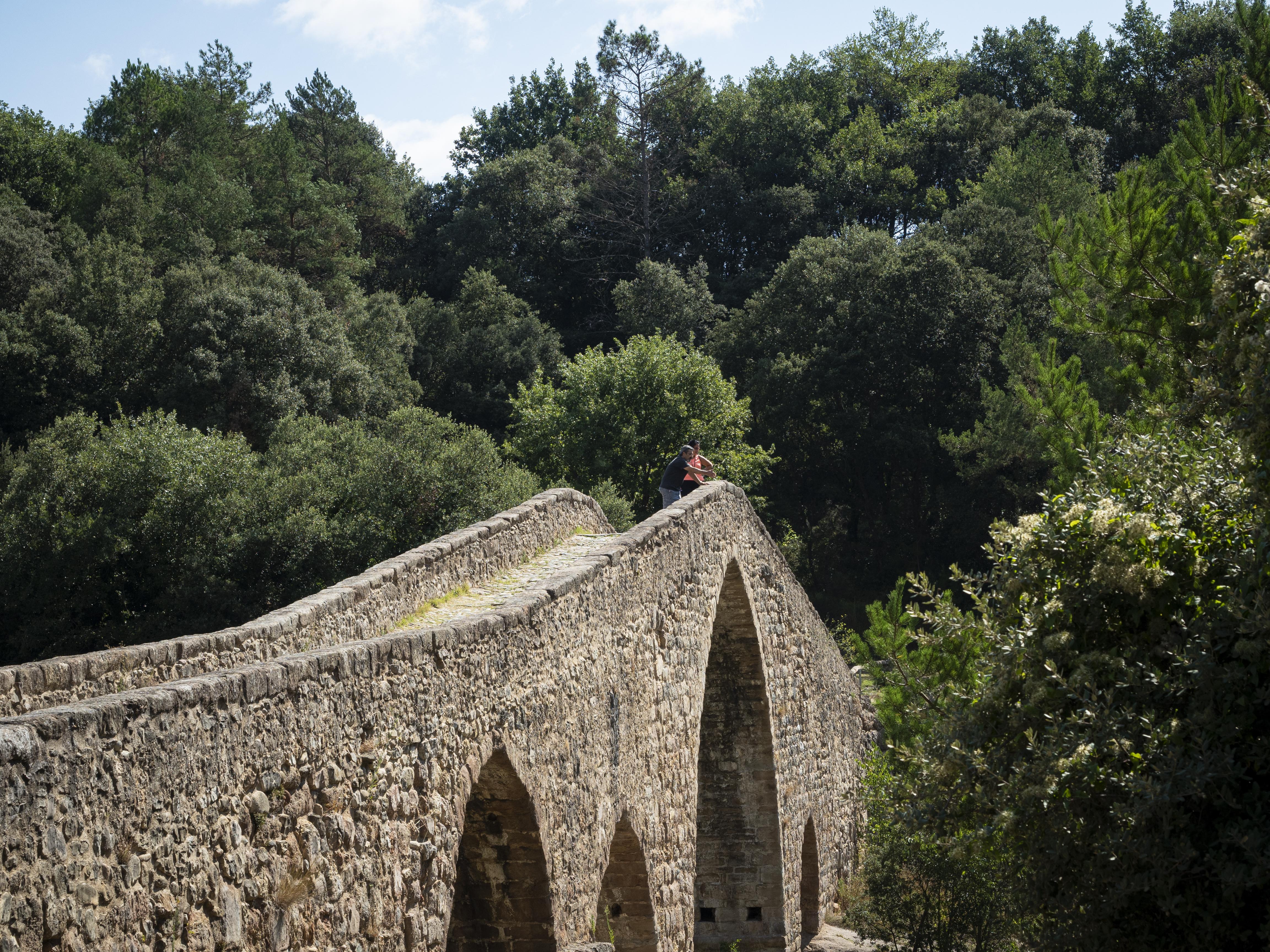 Pont de Pedret. FOTO: Anna E. Puig