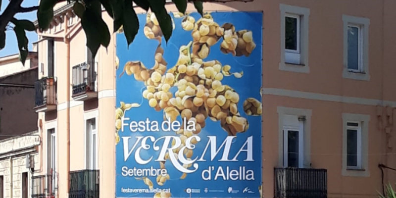 Cartell de la Festa de la Verema a Alella Cartell de la Festa de la Verema a Alella