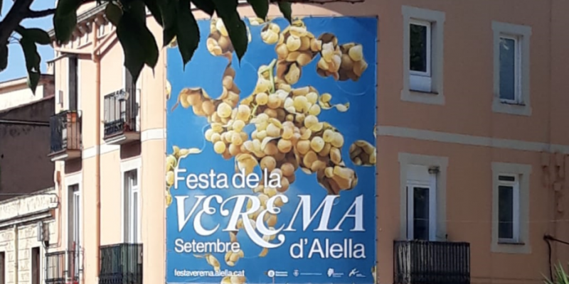 Cartell de la Festa de la Verema a Alella