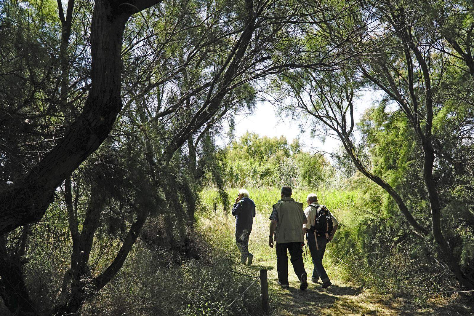 El Prat de Llobregat. Espai Natural del Delta. FOTO: Catalunya-Palau Robert El Prat de Llobregat. Espai Natural del Delta. FOTO: Catalunya-Palau Robert