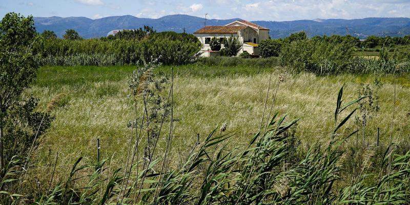 El Prat de Llobregat. Cal Nani. FOTO: Catalunya-Palau Robert