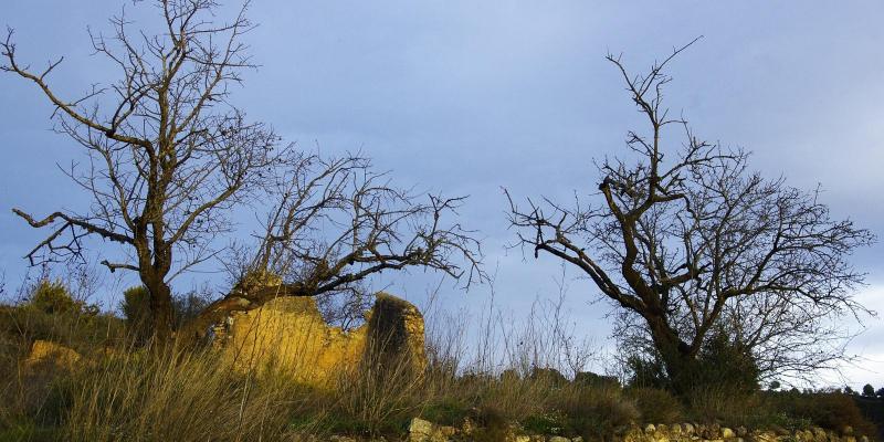 Aiguamúrcia. Camí del GR 172 prop de Santes Creus. FOTO: Catalunya-Palau Robert