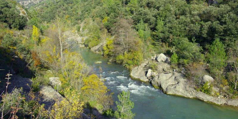 El Llobregat des del pont de Pedret. FOTO: Catalunya-Palau Robert