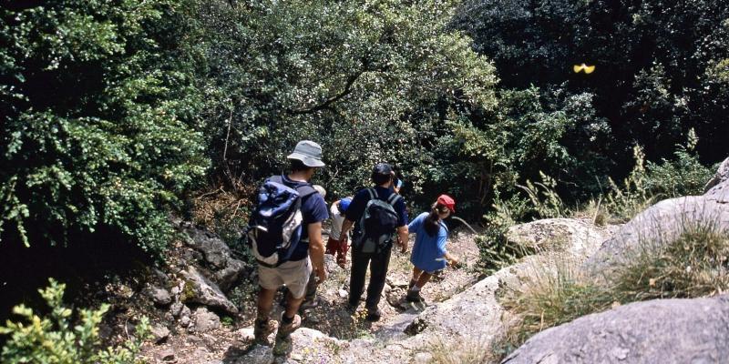 Susqueda. Sant Martí Sacalm; baixant del Far. FOTO: Catalunya-Palau Robert